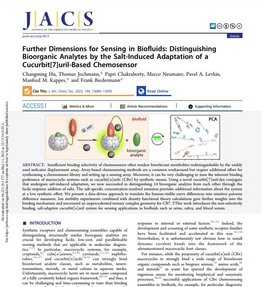 First page of our JACS article