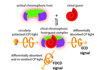 ECD and FDCD chiroptical detection methods