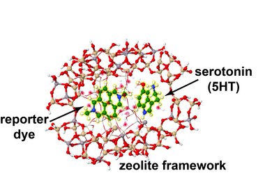 Binding geometry of reporter dye and serotonin within zeolite framework